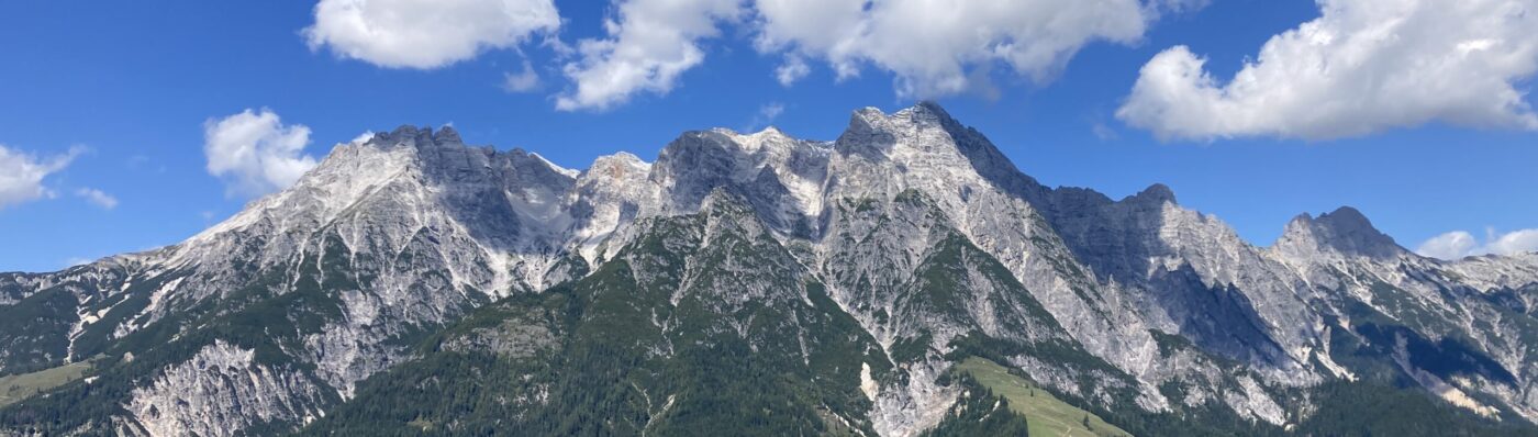 Birnhorn